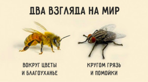муха и пчела