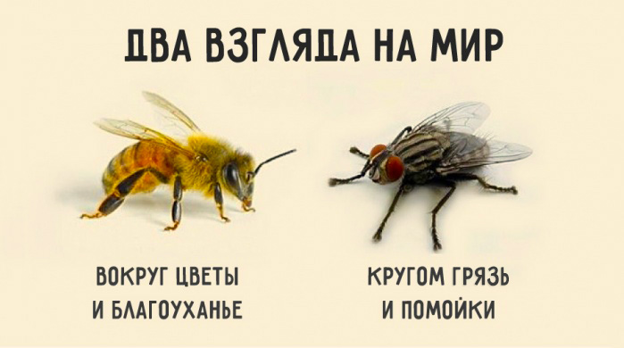 http://hram-stavropol.cerkov.ru/files/2016/07/муха-и-пчела.jpg