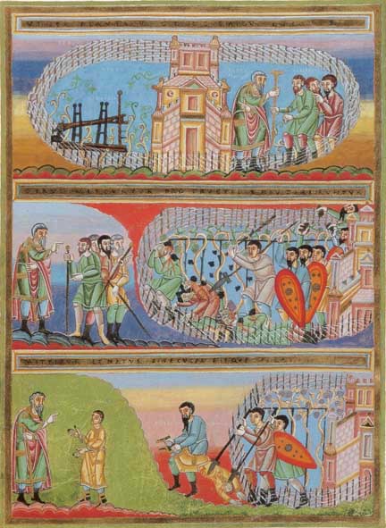 vinogradari
